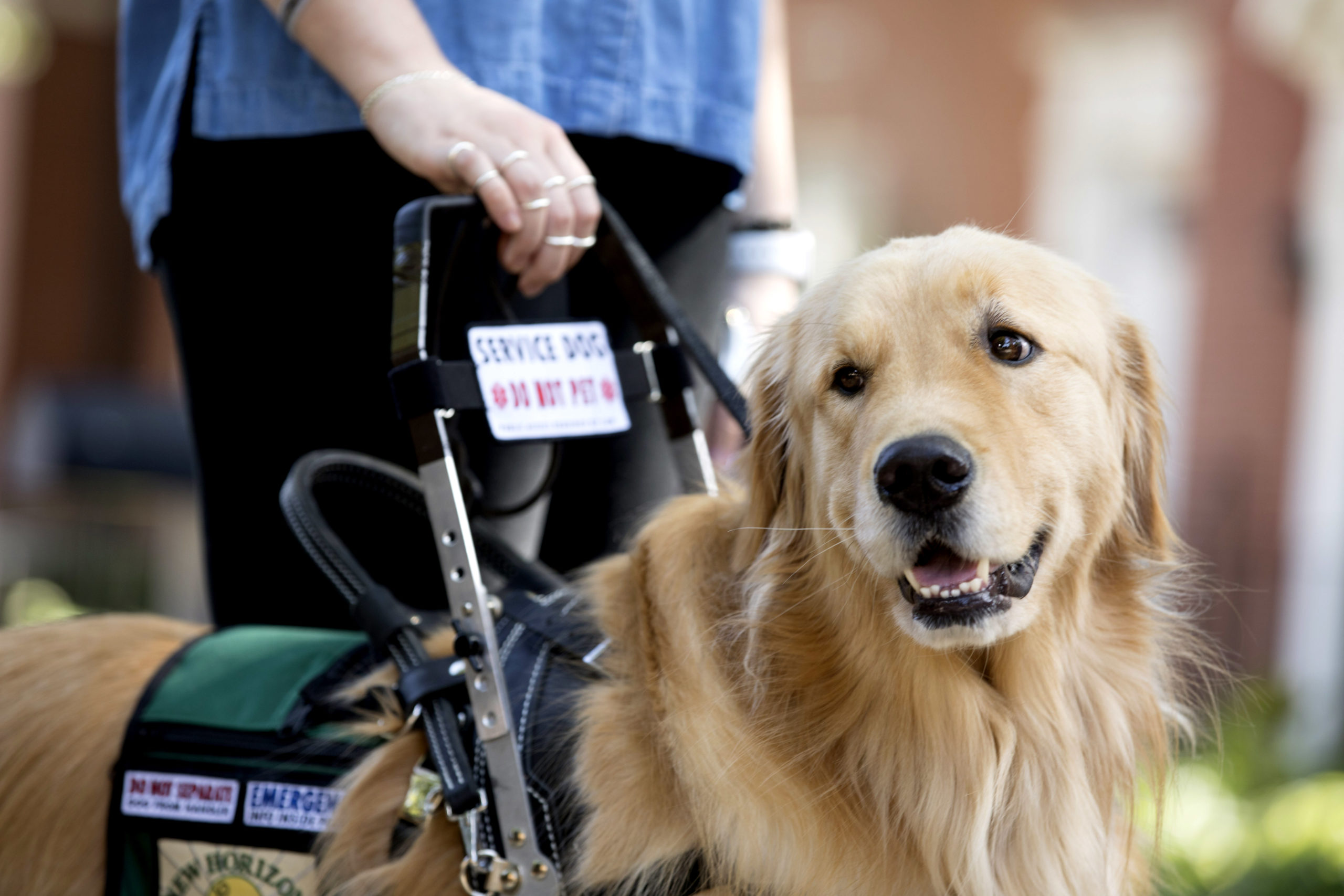 SPIA researcher calls attention to discrepancies in service animal policies