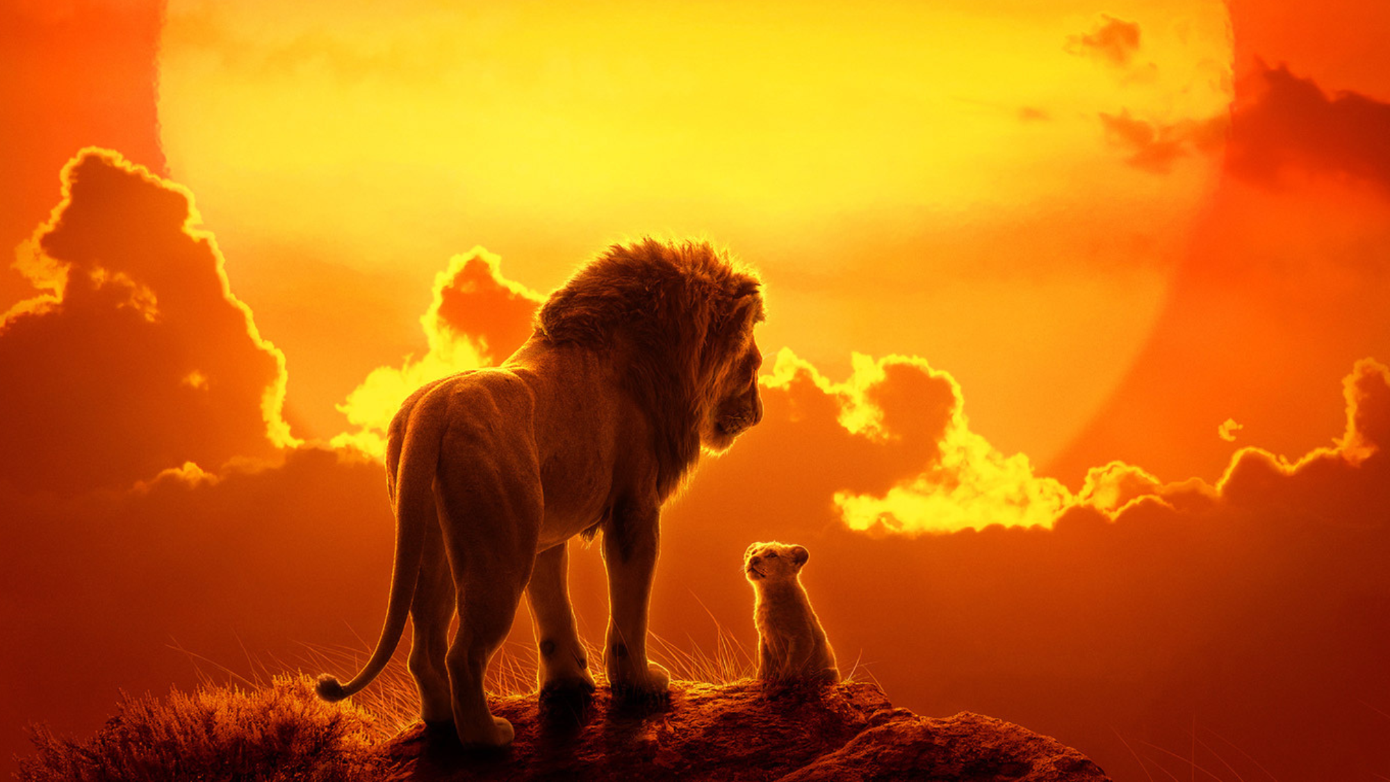 Do emotions drive the link between winning and satisfaction with democracy? Leveraging the Super Bowl, the World Cup, and The Lion King